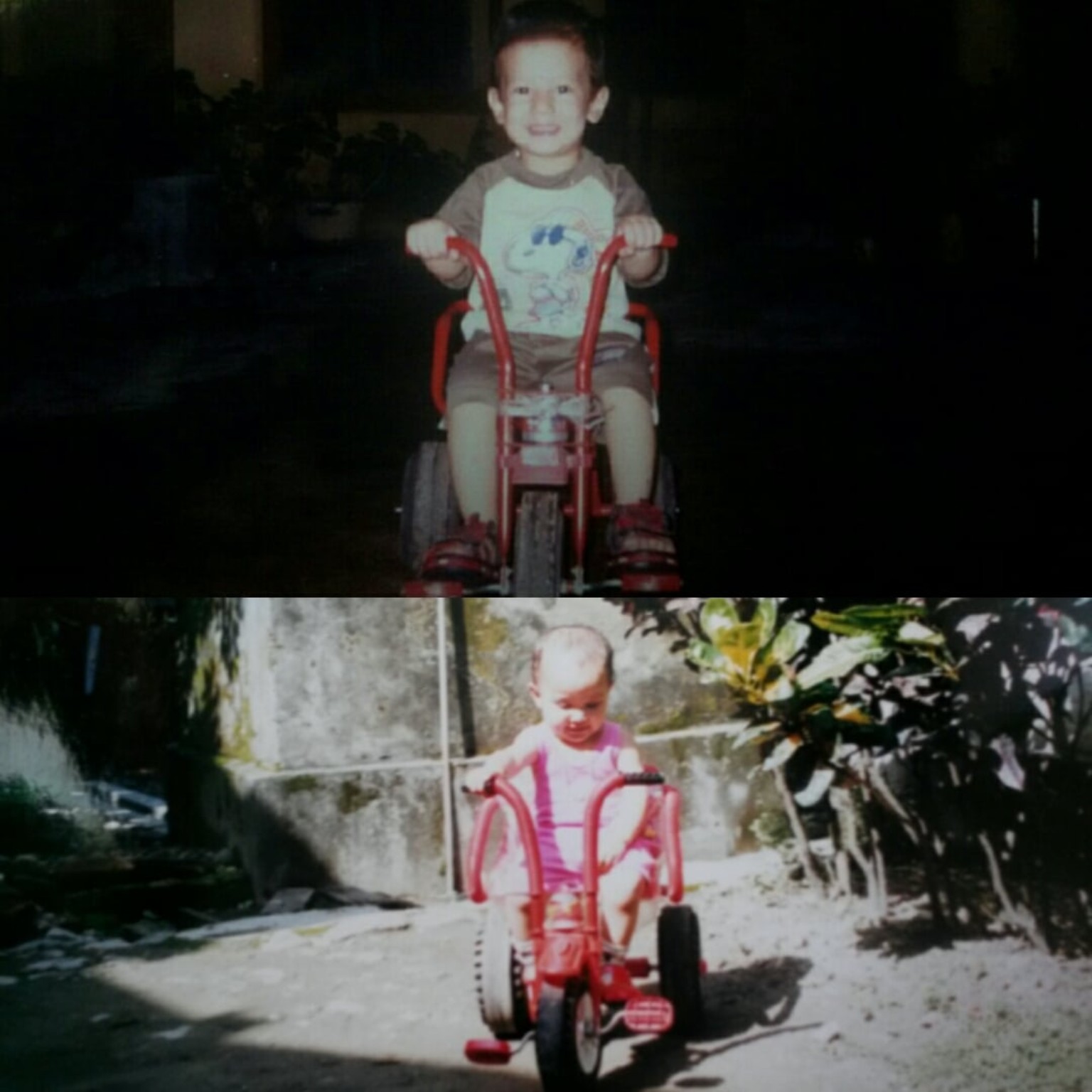 Childhood photographs on red tricycles